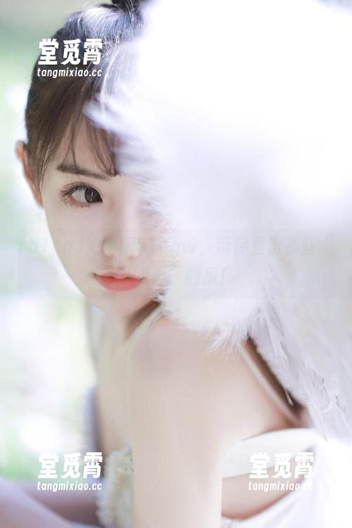 51cg 安卓版51cgw,带你直击那些“八点半”的瓜!