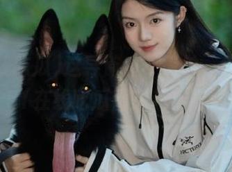 这导航真不简单，每次打开51在线吃瓜都想起小时候