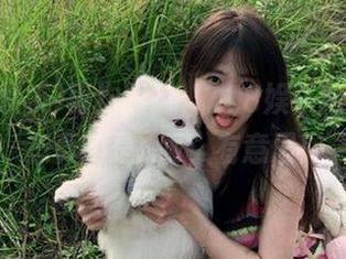 再次跟风，718娱乐网站的动态真的是…呃，有意思！