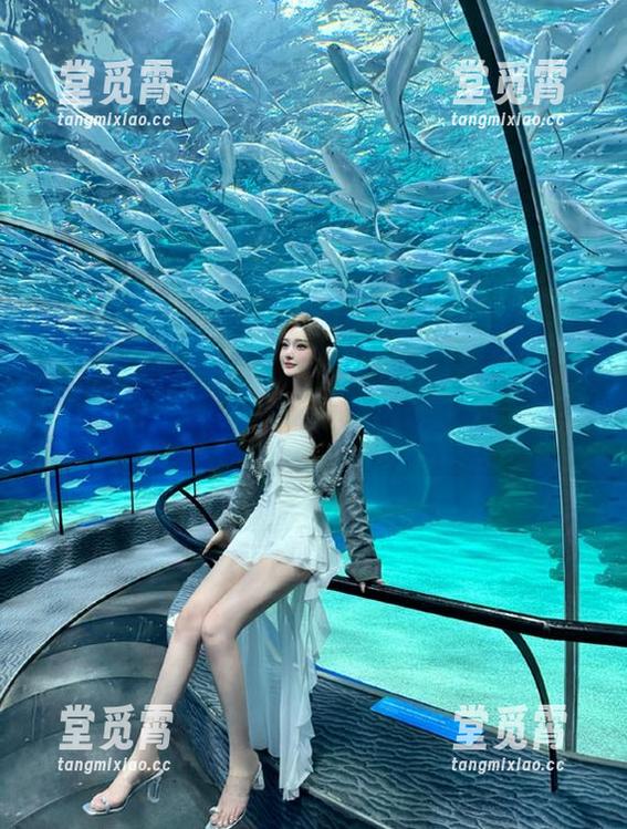 黑料网站：存个链接，明天的聊天话题全靠你了！